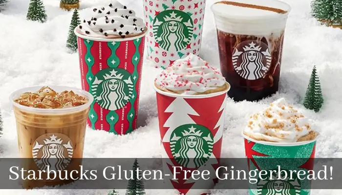 Starbucks Gluten Free Gingerbread!